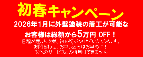 1月のキャンペーン